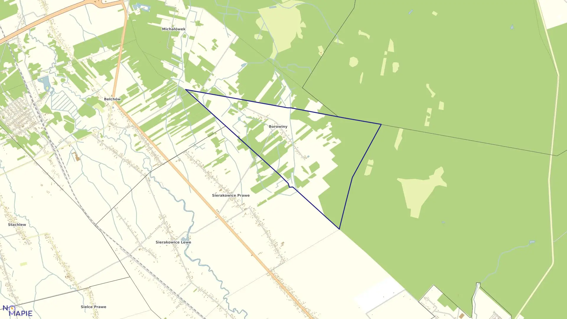 Mapa obrębu BOROWINY w gminie Skierniewice